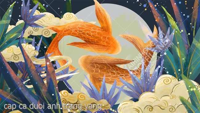 cap ca duoi anh trang vang